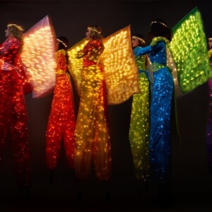 Perfect for events that demand color, movement & visual spectacle. striking led entertainment ...#led #corporateevents #corporateentertainment #stiltwalkers #event